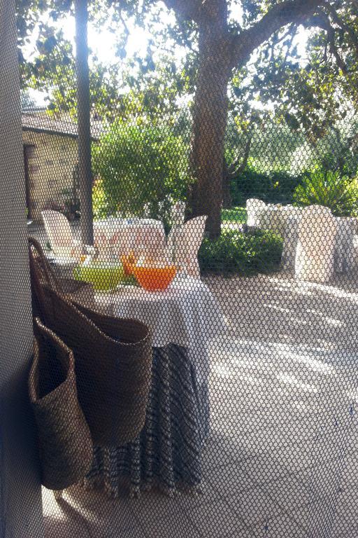 Casa Simonetti Bed & Breakfast Torre del Lago Puccini Exterior photo
